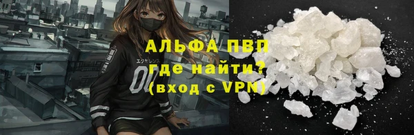 Альфа ПВП Няндома