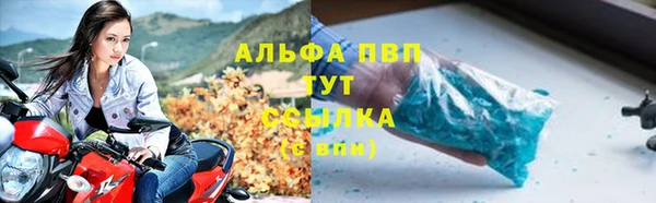 Альфа ПВП Няндома