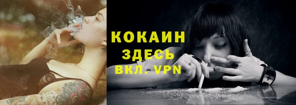 Альфа ПВП Няндома