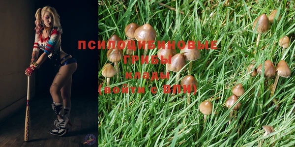 гидропоника Нягань