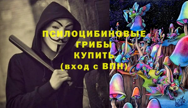 ГАЛЛЮЦИНОГЕННЫЕ ГРИБЫ Верхнеуральск