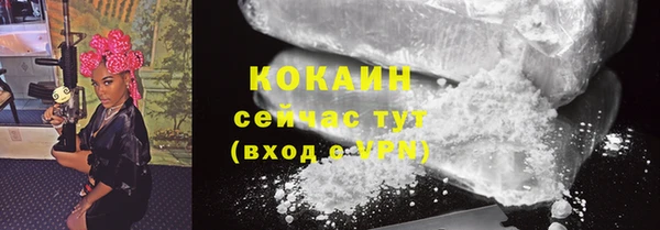 Альфа ПВП Няндома