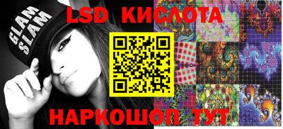 шишки Кингисепп