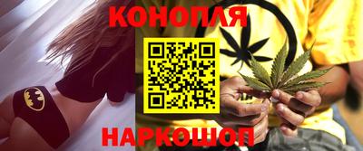 шишки Кингисепп
