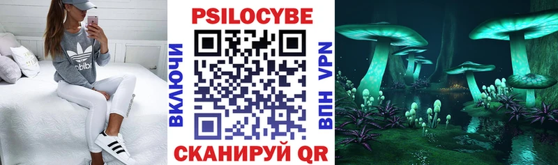 даркнет сайт  Светлоград  Галлюциногенные грибы Cubensis 