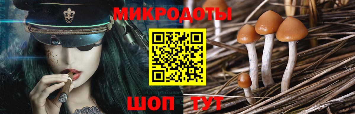 Псилоцибиновые грибы мухоморы Светлоград