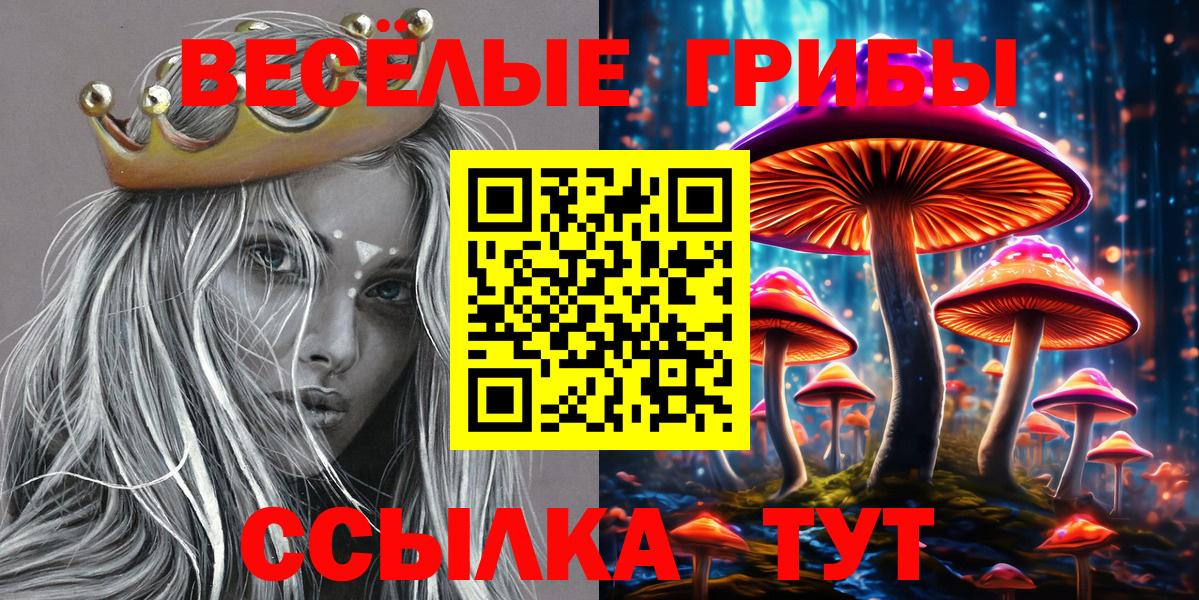 Ешки  КОКАИН  Меф  Альфа-ПВП  Вход с VPN  Светлоград  Конопля 