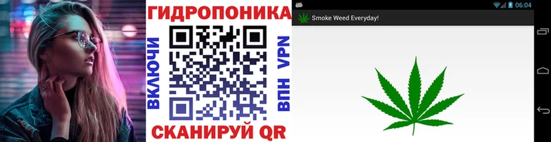 mega tor  Светлоград  Шишки марихуана тримм  купить наркотики цена 